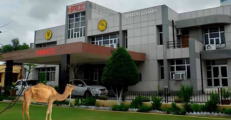 National Research Centre on Camel Bikaner showcasing camels and desert habitat